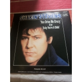 SHAKIN STEVENS