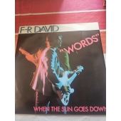 F.R. DAVID