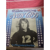 ANDY GIBB