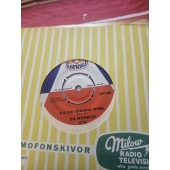 THE SPOTNICKS