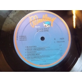 HANNE BOEL  BLACK WOLF