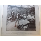 KING SWAMP  KING SWAMP