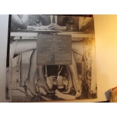 HERMAN RAREBELL  NIP IN THE BUD