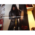 RICK JAMES THROWIN  DOWN  REFLECTIONS  POSTER  2LP
