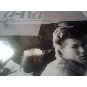  A-HA HUNTING HIGH AND LOW