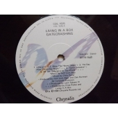 LIVING IN A BOX  GATECRASHING