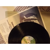 SAMMY JOHNS  THE VAN