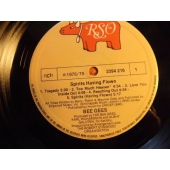 BEE GEES SPIRITS HAVING FLOWN