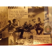 V/A  ETT LITET URVAL AV LANDSKRONA 1984  INSERT