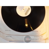 V/A FAST DOMINO… THE HISTORY OF ROCK  2LP  VOLUME TWO