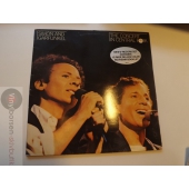 SIMON AND GARFUNKEL  THE CONCERT IN CENTRAL PARK 2LP    BOOKLET SAKNAS