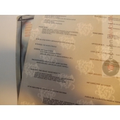 DR. HOOK  PLEASURE&PAIN