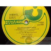 SHADES OF DEEP PARPLE