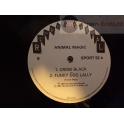 ANIMAL MAGIC