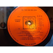 FILL YOUR HEAD WITH ROCK 2LP