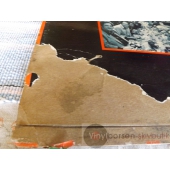 LEE RITENOUR  FIRST COURSE