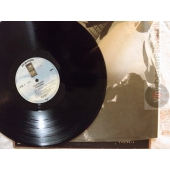 DON FELDER  AIRBORNE