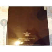 BJÖRN AFZELIUS & MIKAEL WIEHE INSERT