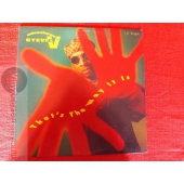ADVENTYRES OF STEVIE V  12 SINGLE