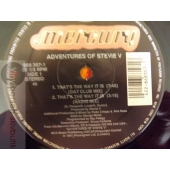 ADVENTYRES OF STEVIE V  12 SINGLE