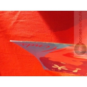 OBSESSION SUSPICIOUS MINDS