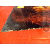 OSCARE  RECONSIDER  MAXI SINGLE