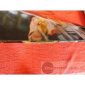 SALLY OLDFIELD  IN CONCERT