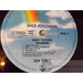 ANDY TAYLOR 