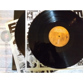 ELVIS IN CONCERT  2LP