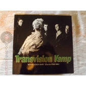 TRANSVISION VAMP  