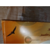 ORGINAL MOTION PICTURE SOUND  TRACK   