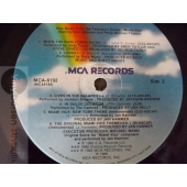 V/A 30  DIRTY DANCE HITS  