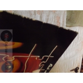 FLASH&THE PAN HEAGLINES