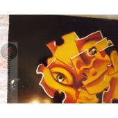 FLASH&THE PAN HEAGLINES