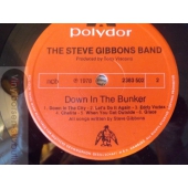 THE STEVE GIBBONS BAND   