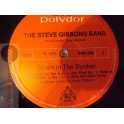 THE STEVE GIBBONS BAND   