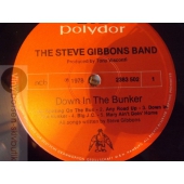 THE STEVE GIBBONS BAND   