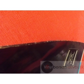 TOMAS LEDIN  CAPTURED