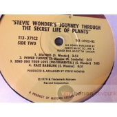 STEVIE WONDER