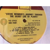 STEVIE WONDER