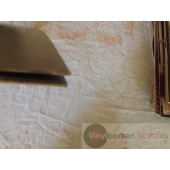 LEO SAYER  SILVERBIRD