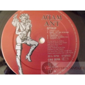 ADAM ANT  STRIP