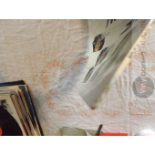 JANNE GOLDMAN  TACK,TACK