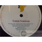 GEMINI/GEMINIS