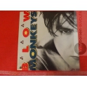 THE BLOW MONKEYS