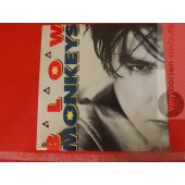 THE BLOW MONKEYS