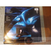 TONE NORUM  