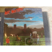 MR.MISTER 
