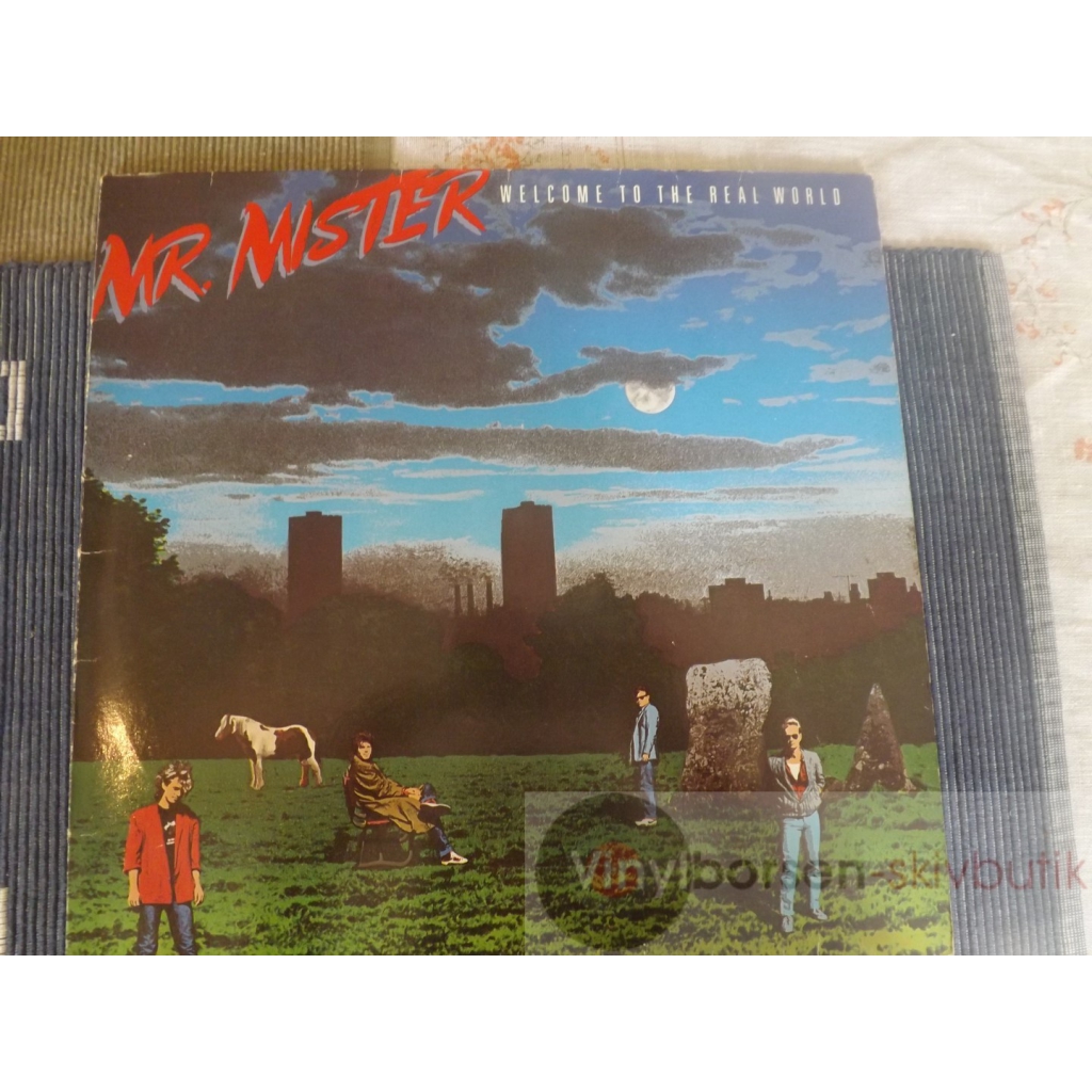 MR.MISTER 