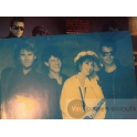 BACK INTO BLUE  QUARTERFLASH